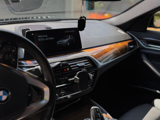 Interior dressing and protectant